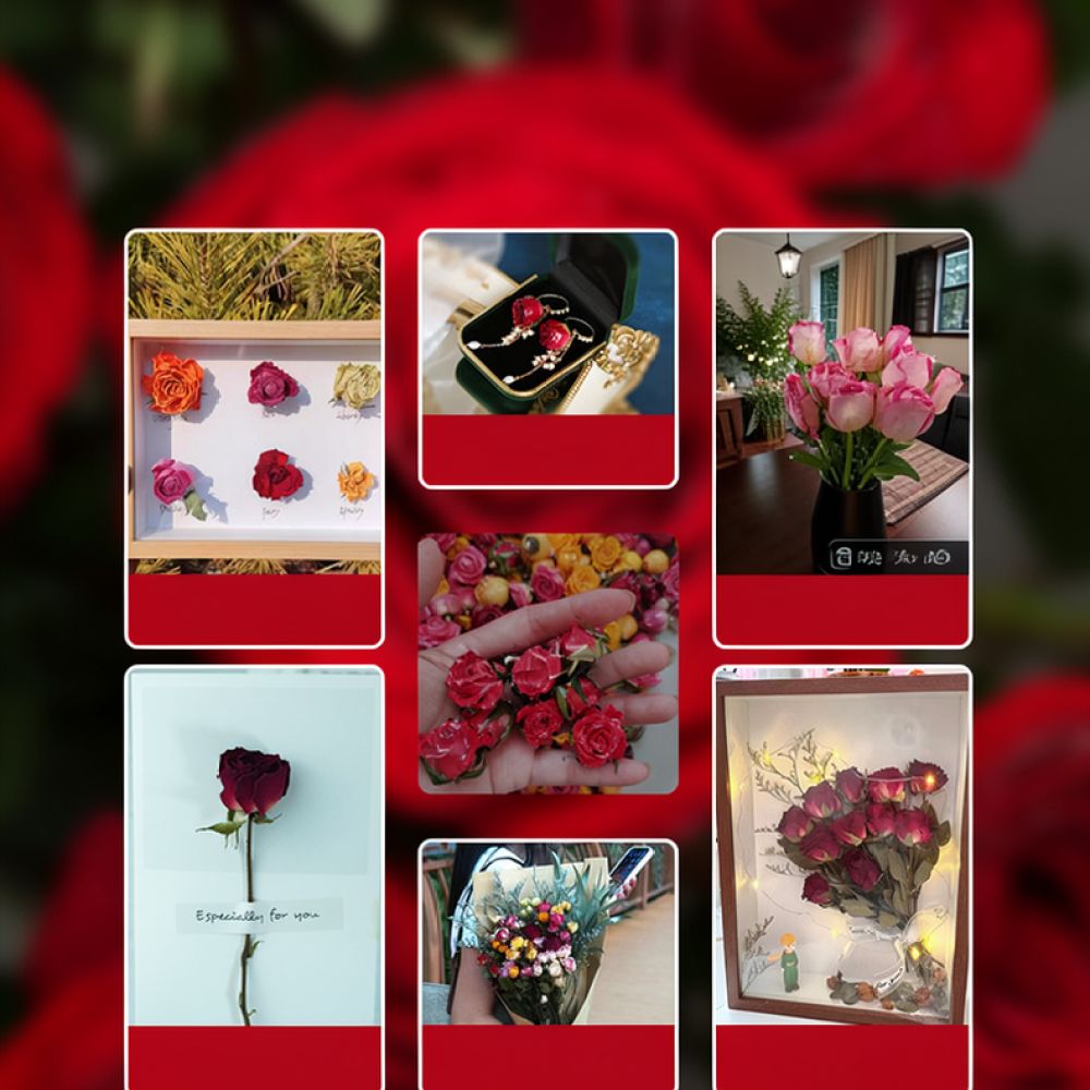 Resin Art Rose - Naturalny, suszony bukiet róż, „bąbelkowe” róże,