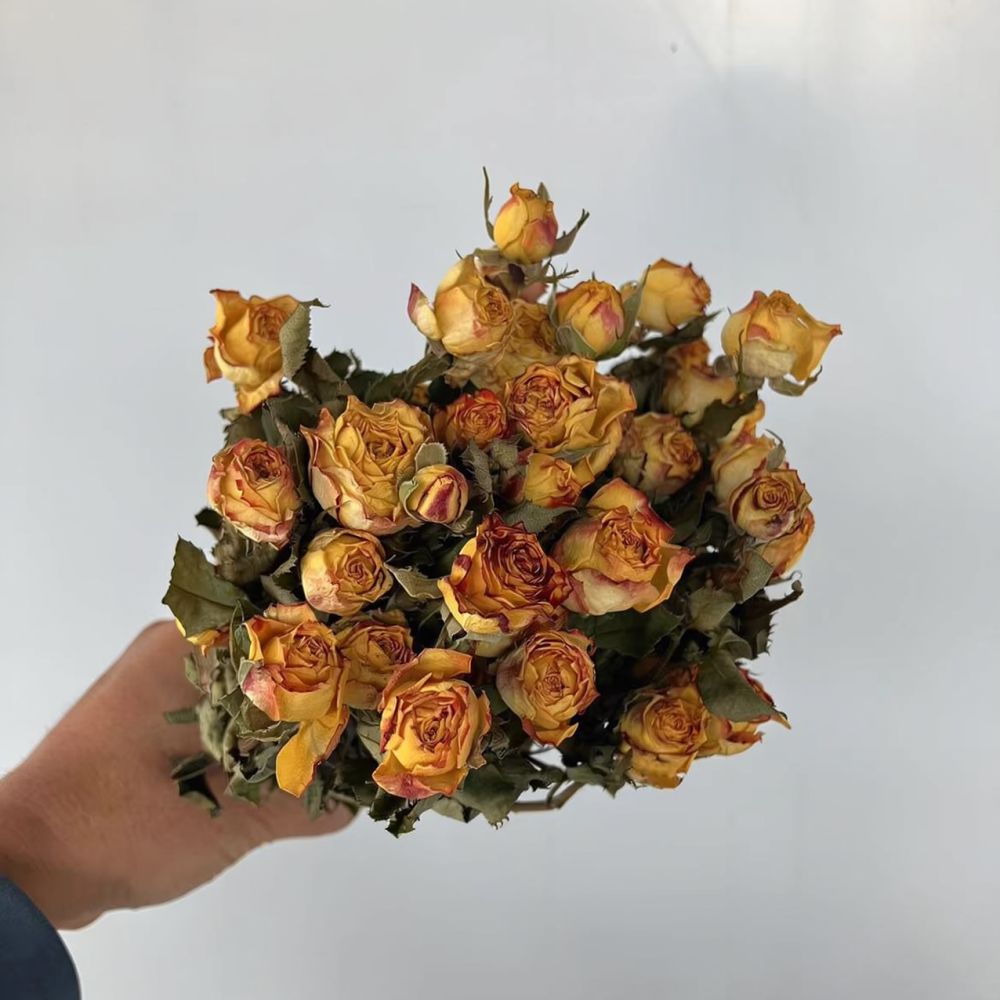 Prawdziwe, sterylizowane róże, – Resin Art Rose recenzja i cena