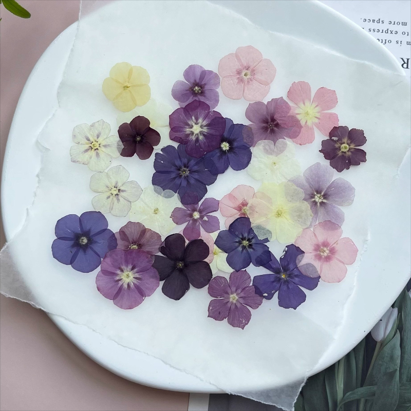 12 szt., Półprzezroczyste, nis – Resin Art Case recenzja i cena